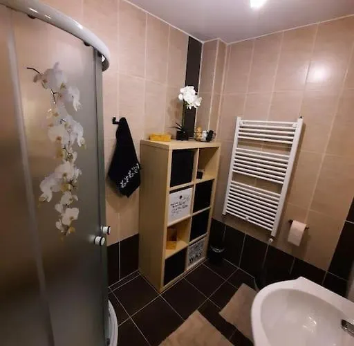 încântător Cu Parcare Gratuită în Rezidență Bucareste